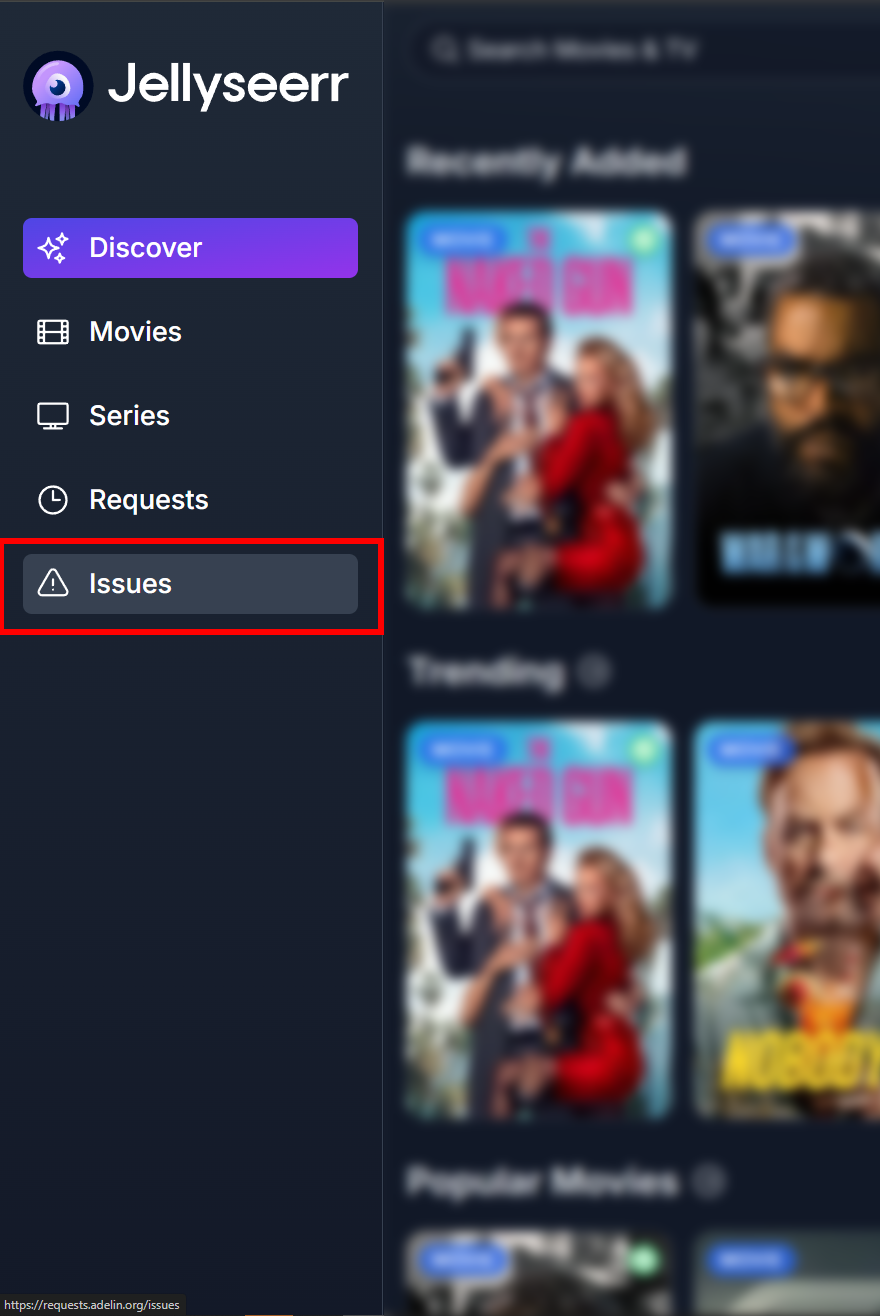 Secțiune Issues