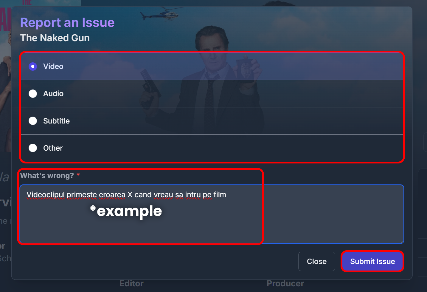 Formular problemă