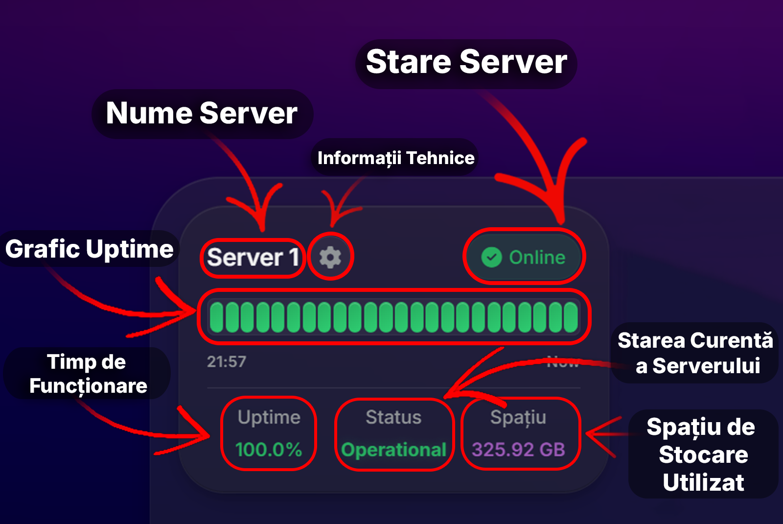 Server Individual cu Monitorizare