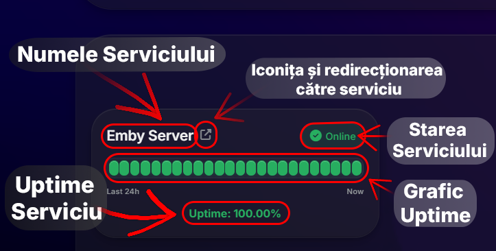 Serviciu Individual